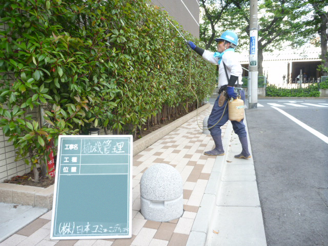 植栽手入れのイメージ