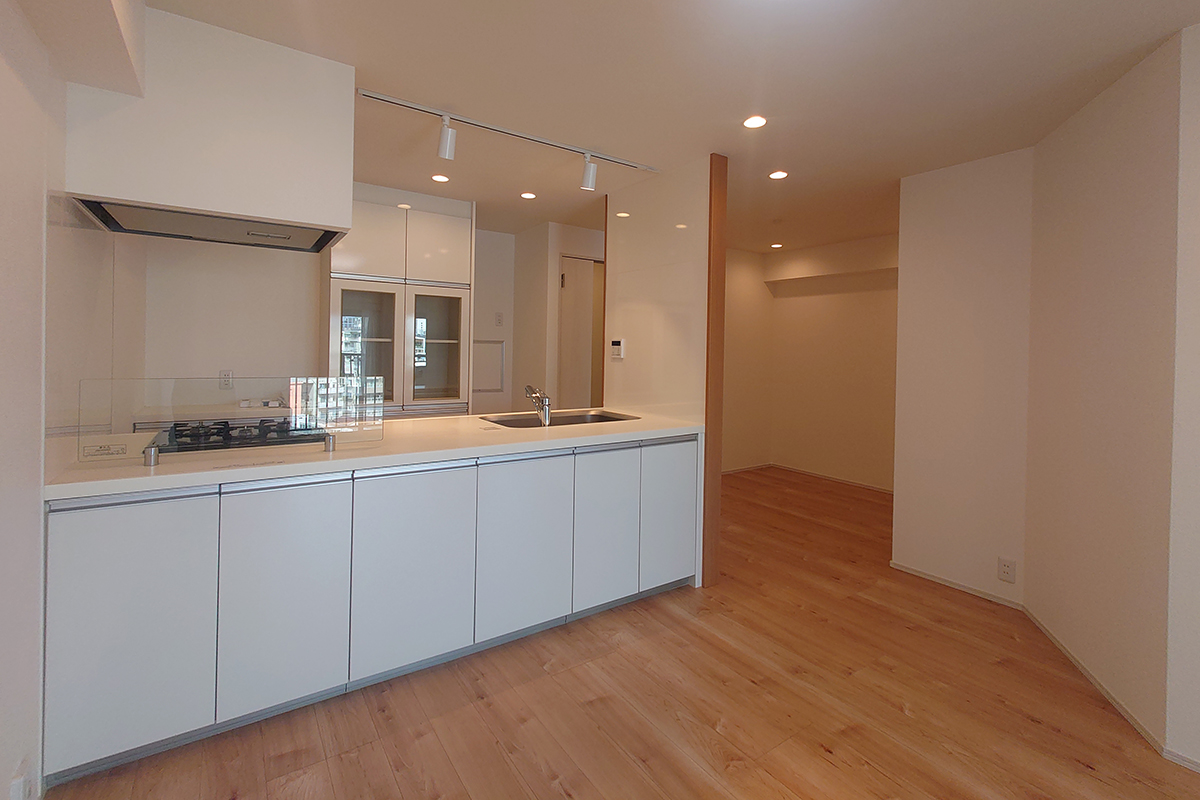 信濃町マンション<br>（リノベーション）